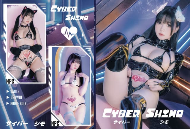 Cyber Shimo サイバー シモ 96P 写真集